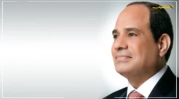 تعزيز للشراكات الدولية.. الرئيس السيسي يستقبل شركتي سكاتك النرويجية وصنجرو الصينية لبحث فرص التعاون الاقتصادي 1